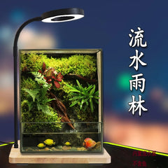 No-Care Moss Tank (Finished Product)