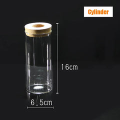 Mini Glass Betta Tank (DIY Kit)