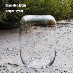 1-Piece Glass Terrarium Planter