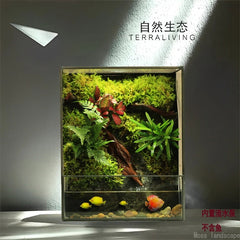 No-Care Moss Tank (Finished Product)