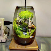 Mini Moss Landscape Bottle