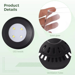 Glass Terrarium with Grow Light