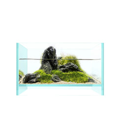Ultra-Clear Floating Aquarium – VERSON Series