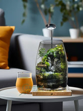 Qiu Chen Moss Landscape Bottle