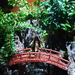 Glass Moss Terrarium