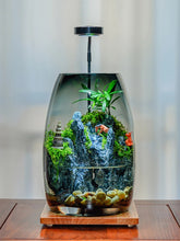 No-Care Moss Tank (Finished Product)