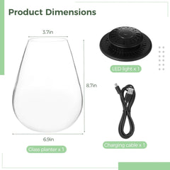 Glass Terrarium with Grow Light