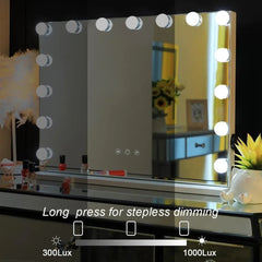 Hollywood Style Vanity Mirror with Lights - Wall Mount Edition! ✨