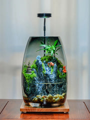 No-Care Moss Tank (Finished Product)