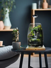 Qiu Chen Moss Landscape Bottle