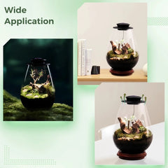 Glass Terrarium with Grow Light