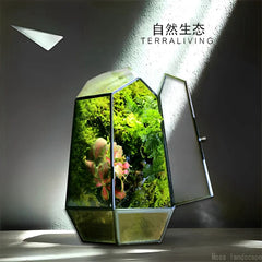 No-Care Moss Tank (Finished Product)