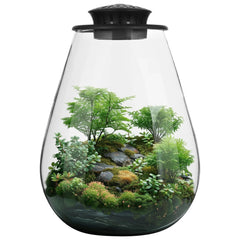 Glass Terrarium with Grow Light