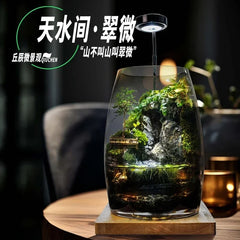 Qiu Chen Moss Landscape Bottle