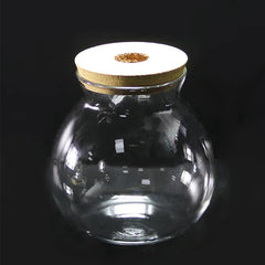 Mini Glass Betta Tank (DIY Kit)