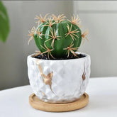 Nordic Style Porcelain Marble Grain Fleshy Plant Pot with Bamboo Tray – Bonsai Vase & Home Decor
