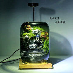 No-Care Moss Tank (Finished Product)