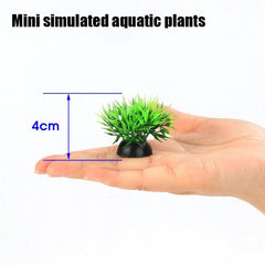 Mini Glass Betta Tank (DIY Kit)