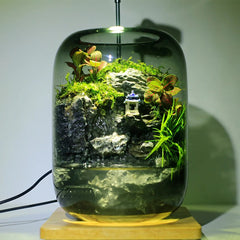 No-Care Moss Tank (Finished Product)