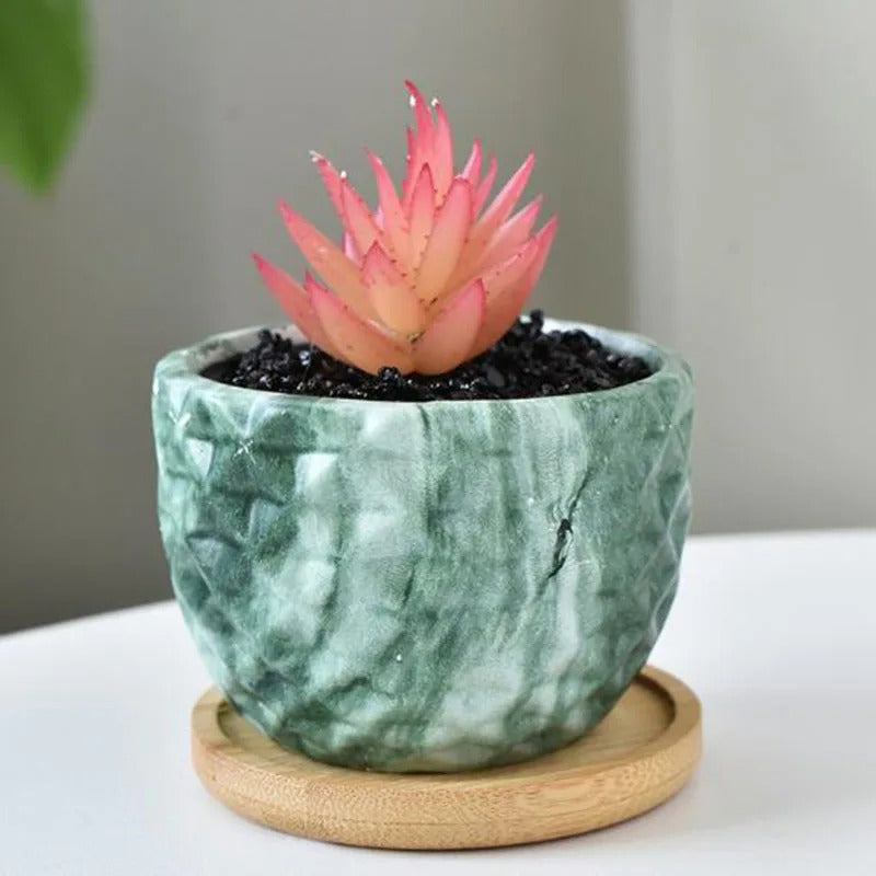 Nordic Style Porcelain Marble Grain Fleshy Plant Pot with Bamboo Tray – Bonsai Vase & Home Decor