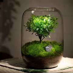 Creative Glass Terrarium Bottle
