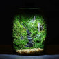 Clear Glass Terrarium (Model 1001956)