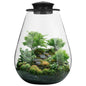 Glass Terrarium with Grow Light
