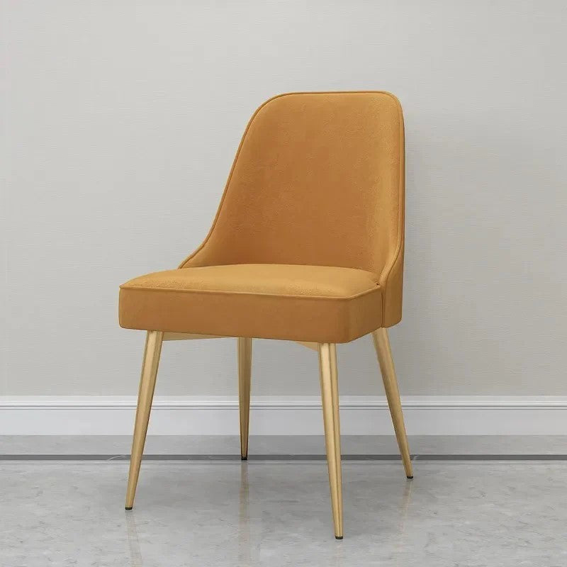 Modern Furniture Dining Chairs Luxury Restaurant Kitchen Chair Minimalist Leisure Home Living Room Balcony Iron Backrest Chair