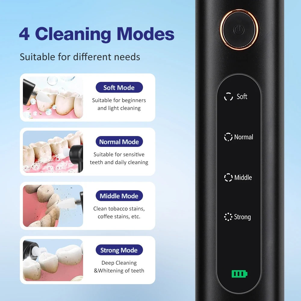 Electric Dental Polisher Kit