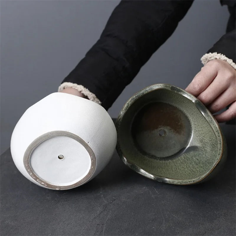 Rhinoceros Horn Shape Ceramic Flower Pot – Succulent Planter & Cactus Bonsai Pot for Home Decoration