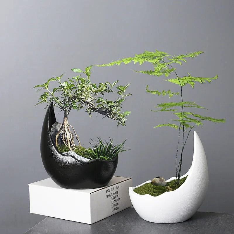 Rhinoceros Horn Shape Ceramic Flower Pot – Succulent Planter & Cactus Bonsai Pot for Home Decoration