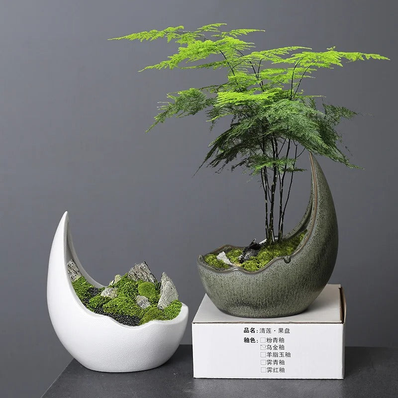 Rhinoceros Horn Shape Ceramic Flower Pot – Succulent Planter & Cactus Bonsai Pot for Home Decoration