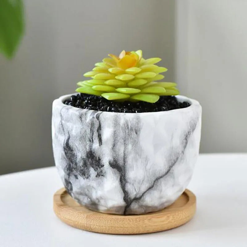 Nordic Style Porcelain Marble Grain Fleshy Plant Pot with Bamboo Tray – Bonsai Vase & Home Decor