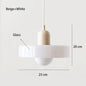 Nordic Retro Glass LED Chandelier